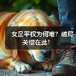 女足平权为何难？破局关键在此！（图3）