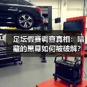 足坛假赛调查真相：暗藏的黑幕如何被破解？（图2）