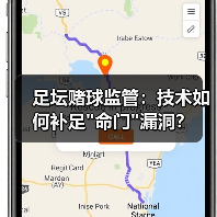 足坛赌球监管：技术如何补足
