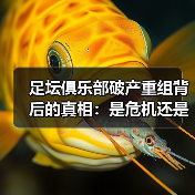 足坛俱乐部破产重组背后的真相:是危机还是转机?(图2) 足坛俱乐部破产重组背后的真相:是危机还是转机?(图2)