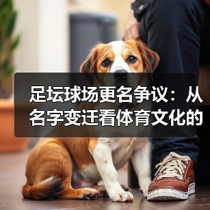 足坛球场更名争议：从名字变迁看体育文化的迷思（图3）