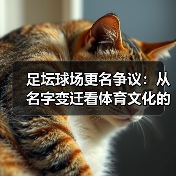 足坛球场更名争议：从名字变迁看体育文化的迷思（图4）