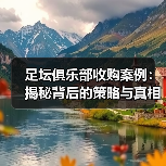 足坛俱乐部收购案例:揭秘背后的策略与真相(图2) 足坛俱乐部收购案例:揭秘背后的策略与真相(图2)