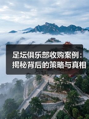 足坛俱乐部收购案例：揭秘背后的策略与真相