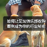 如何让足坛俱乐部收购案例成为你的行业秘密武器（图3）