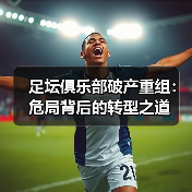 足坛俱乐部破产重组:危局背后的转型之道(图3) 足坛俱乐部破产重组:危局背后的转型之道(图3)