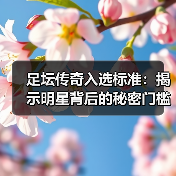足坛传奇入选标准：揭示明星背后的秘密门槛（图2）