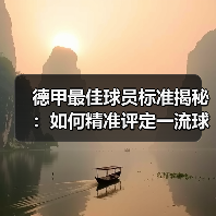 德甲最佳球员标准揭秘：如何精准评定一流球星（图2）