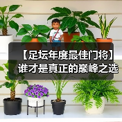 【足坛年度最佳门将】谁才是真正的巅峰之选?(图3) 【足坛年度最佳门将】谁才是真正的巅峰之选?(图3)