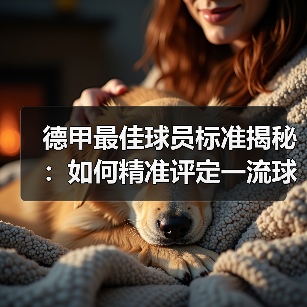 德甲最佳球员标准揭秘：如何精准评定一流球星（图4）