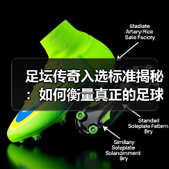 足坛传奇入选标准揭秘:如何衡量真正的足球巨星(图2) 足坛传奇入选标准揭秘:如何衡量真正的足球巨星(图2)
