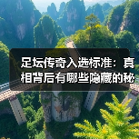 足坛传奇入选标准:真相背后有哪些隐藏的秘密?(图4) 足坛传奇入选标准:真相背后有哪些隐藏的秘密?(图4)