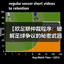 【欧足联仲裁程序:破解足球争议的秘密武器】(图3) 【欧足联仲裁程序:破解足球争议的秘密武器】(图3)