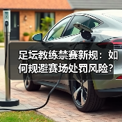 足坛教练禁赛新规:如何规避赛场处罚风险?(图2) 足坛教练禁赛新规:如何规避赛场处罚风险?(图2)