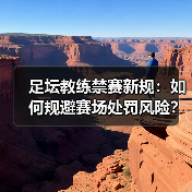 足坛教练禁赛新规:如何规避赛场处罚风险?(图3) 足坛教练禁赛新规:如何规避赛场处罚风险?(图3)