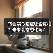 转会禁令暗藏哪些真相？未来会常态化吗？（图2）