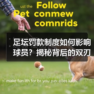 足坛罚款制度如何影响球员？揭秘背后的双刃剑效应-特色图片