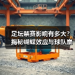 足坛禁赛影响有多大?揭秘蝴蝶效应与球队崩盘关联(图3) 足坛禁赛影响有多大?揭秘蝴蝶效应与球队崩盘关联(图3)