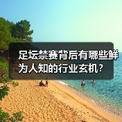 足坛禁赛背后有哪些鲜为人知的行业玄机?(图1) 足坛禁赛背后有哪些鲜为人知的行业玄机?(图1)