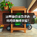 法甲最佳球员评选:谁将问鼎巅峰荣耀?(图1) 法甲最佳球员评选:谁将问鼎巅峰荣耀?(图1)