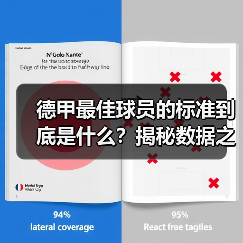 德甲最佳球员的标准到底是什么?揭秘数据之外的隐藏指标(图4) 德甲最佳球员的标准到底是什么?揭秘数据之外的隐藏指标(图4)