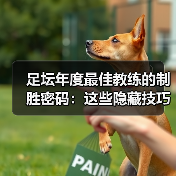 足坛年度最佳教练的制胜密码：这些隐藏技巧你不可不知（图4）