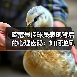 欧冠最佳球员表现背后的心理密码:如何逆风翻盘?(图3) 欧冠最佳球员表现背后的心理密码:如何逆风翻盘?(图3)