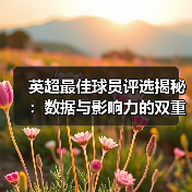 英超最佳球员评选揭秘:数据与影响力的双重较量(图1) 英超最佳球员评选揭秘:数据与影响力的双重较量(图1)