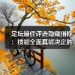 足坛最佳评选隐藏指标:技能全面真能决定胜负?(图4) 足坛最佳评选隐藏指标:技能全面真能决定胜负?(图4)