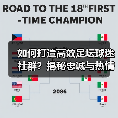 如何打造高效足坛球迷社群?揭秘忠诚与热情背后的策略(图2) 如何打造高效足坛球迷社群?揭秘忠诚与热情背后的策略(图2)