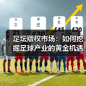 足坛版权市场:如何挖掘足球产业的黄金机遇?(图4) 足坛版权市场:如何挖掘足球产业的黄金机遇?(图4)