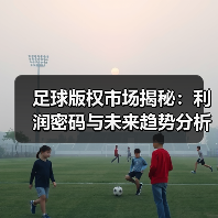 足球版权市场揭秘:利润密码与未来趋势分析(图2) 足球版权市场揭秘:利润密码与未来趋势分析(图2)
