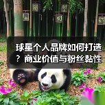 球星个人品牌如何打造?商业价值与粉丝黏性全解析(图4) 球星个人品牌如何打造?商业价值与粉丝黏性全解析(图4)