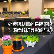 外援限制真的是阻碍吗？深度解析其影响与机遇-特色图片