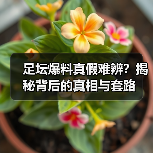 足坛爆料真假难辨?揭秘背后的真相与套路(图3) 足坛爆料真假难辨?揭秘背后的真相与套路(图3)