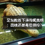 足坛教练下课传闻真相:战绩还是幕后操控?(图2) 足坛教练下课传闻真相:战绩还是幕后操控?(图2)