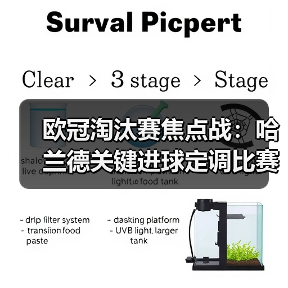 欧冠淘汰赛焦点战：哈兰德关键进球定调比赛走势-特色图片