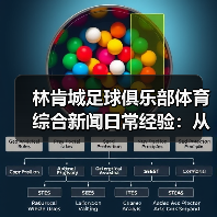 林肯城足球俱乐部体育综合新闻日常经验：从需求判断到使用维护 - 玄熵西汉姆联