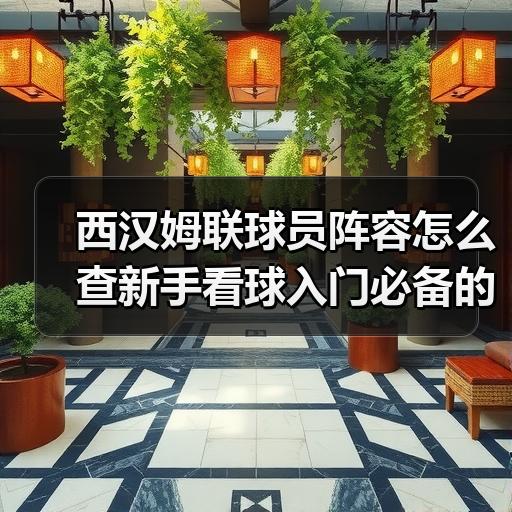西汉姆联球员阵容怎么查新手看球入门必备的名单梳理方法 - 玄熵西汉姆联